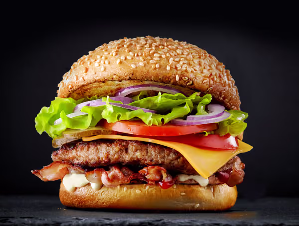 Fresh tasty burger